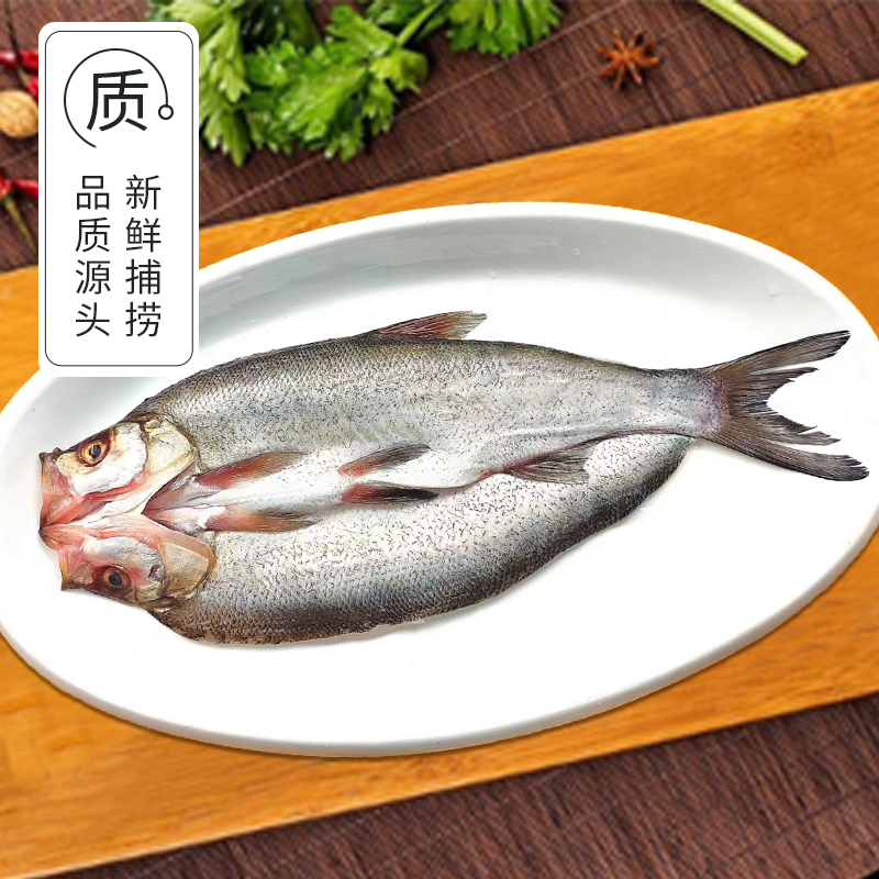 丹江口生态翘嘴鱼